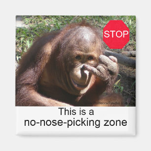 Imán Lecciones de vida animal #1