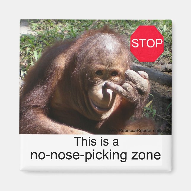 Imán Lecciones de vida animal #1 (Frente)