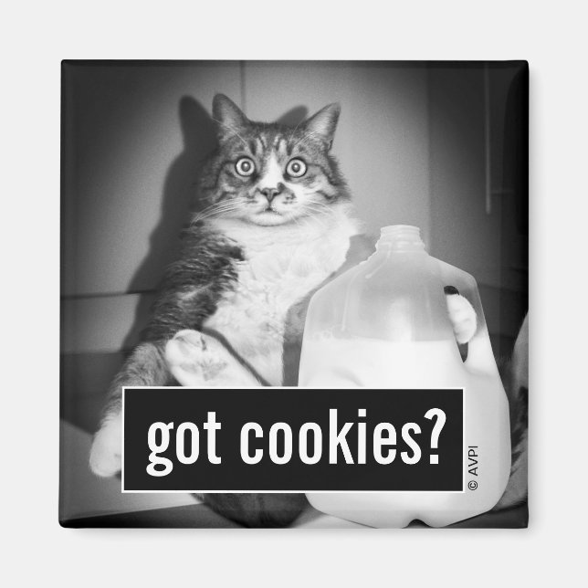 Imán Leche de gato de jug (Frente)