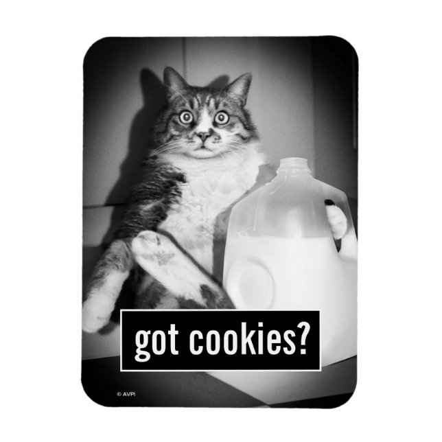 Imán Leche de gato de jug (Vertical)