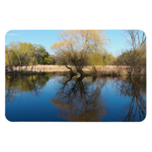 Imán Leche salvaje y estanque en primavera