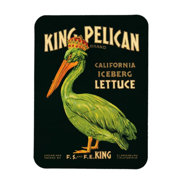 Imán Lechuga iceberg King Pelican (Vertical)