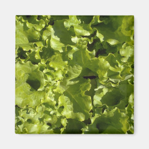 Imán Lechuga verde