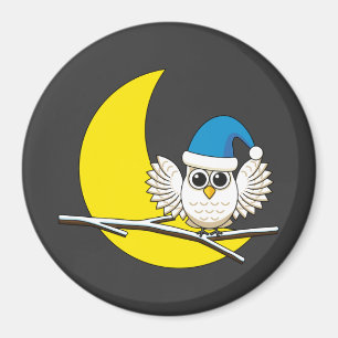 Imán Lechuza nevada en una nueva noche de invierno en l