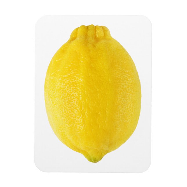 Imán Lemon (Vertical)