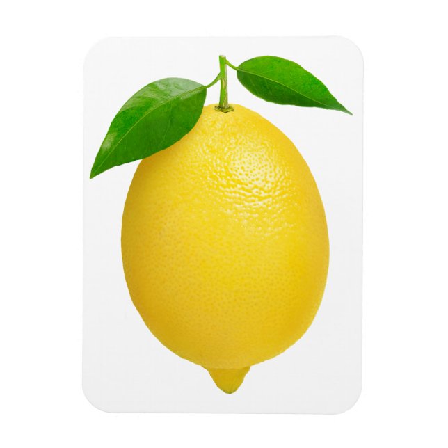 Imán Lemon (Vertical)