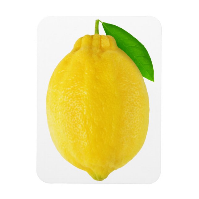 Imán Lemon (Vertical)