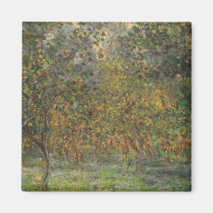 Imán Lemon Grove en Bordighera por Claude Monet