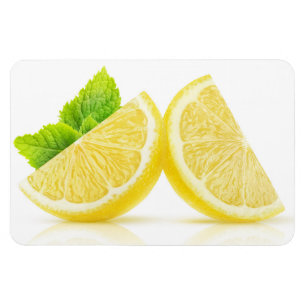 Imán Lemon Slices