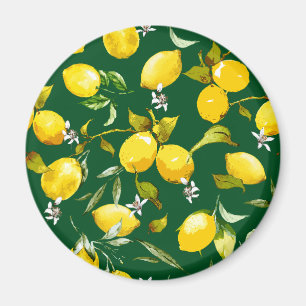 Imán Lemones acuarelas 9