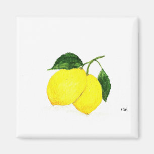 Imán Lemones color agua fruta decoración de cocina moda