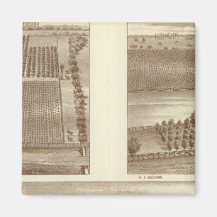 Imán Lemoore ranchos