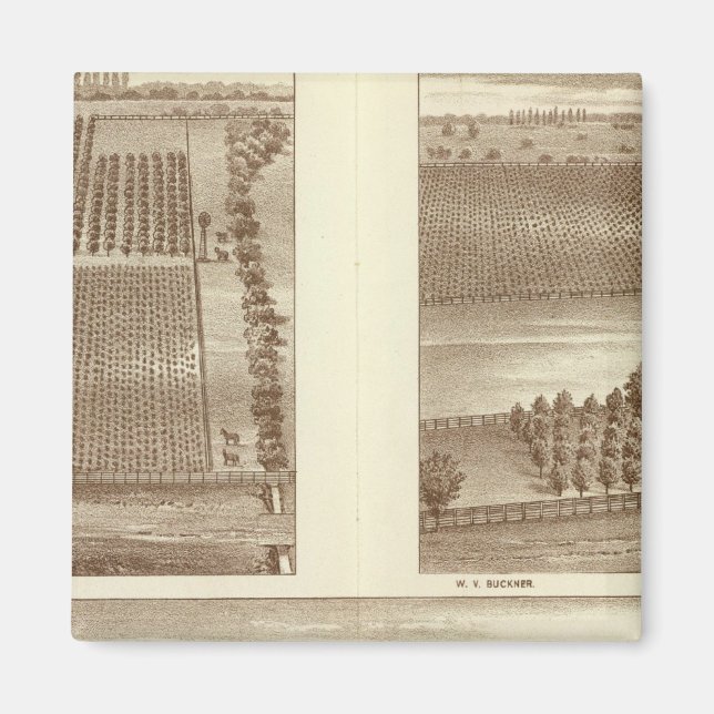 Imán Lemoore ranchos (Frente)