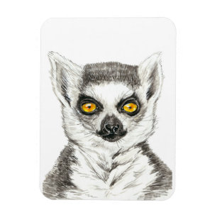 Imán Lemur