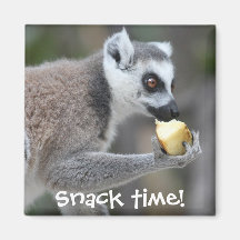 Lemur De Cuerdas Anilladas — ¡Hora De Aperitivos!
