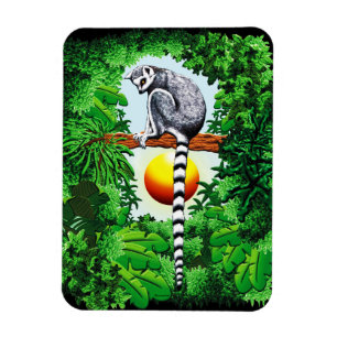 Imán Lemur de Madagascar