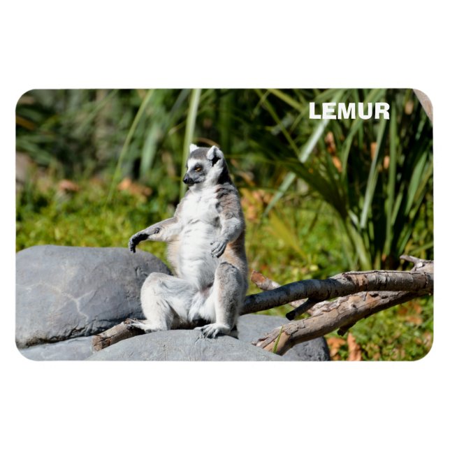 Imán Lemur Monkey (Horizontal)