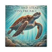 Imán lento y estable de tortugas