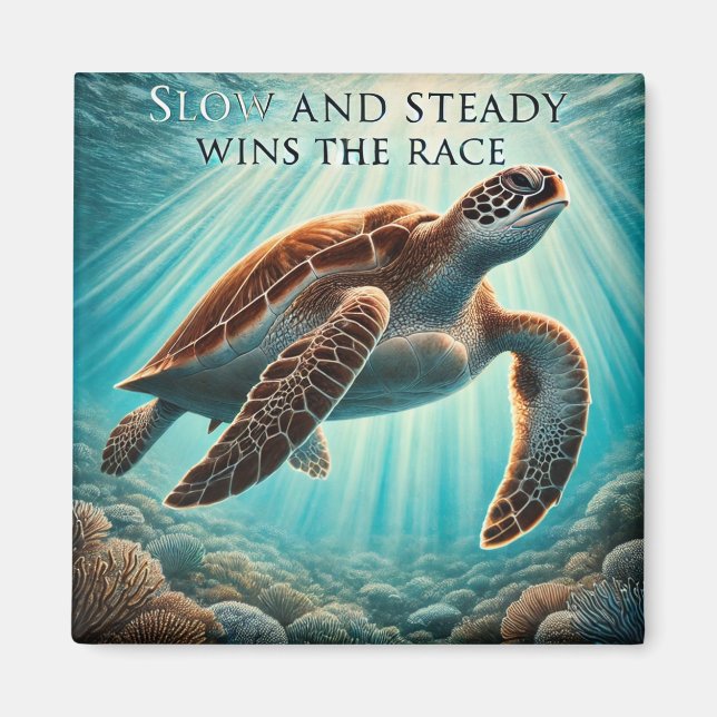 Imán lento y estable de tortugas (Frente)