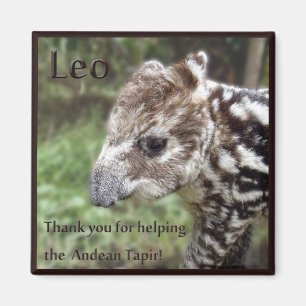 Imán Leo el Tapir andino
