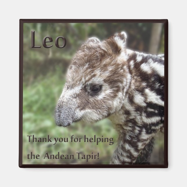 Imán Leo el Tapir Andino (Frente)