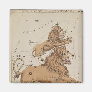 Imán Leo Magnet