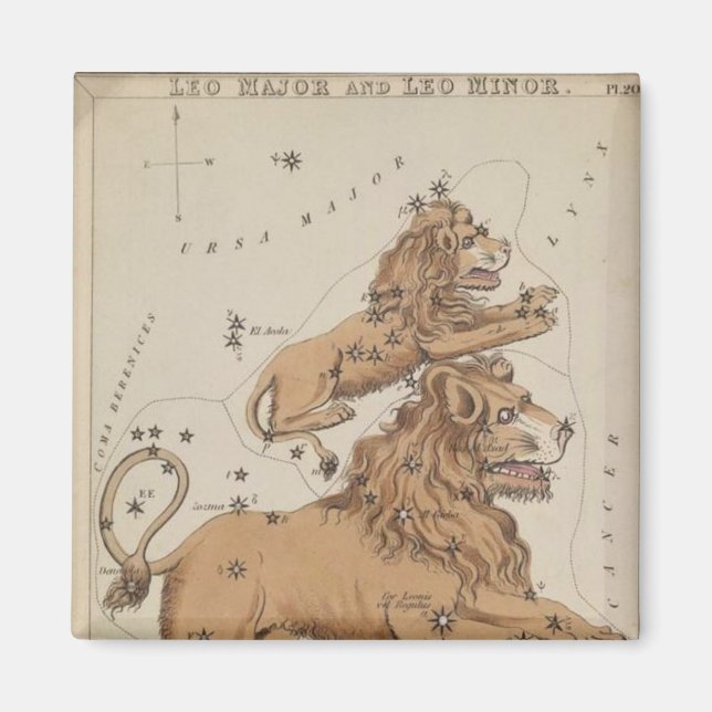 Imán Leo Magnet (Frente)