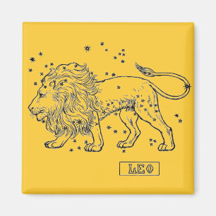 Imán Leo Magnet