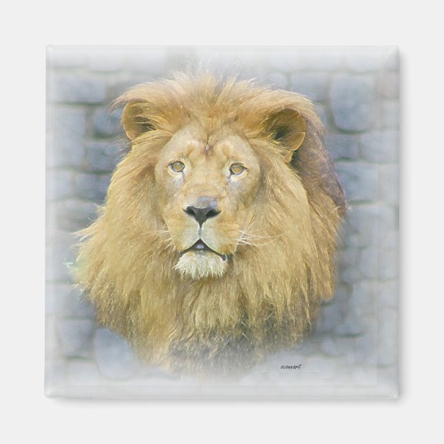 Imán león (Frente)