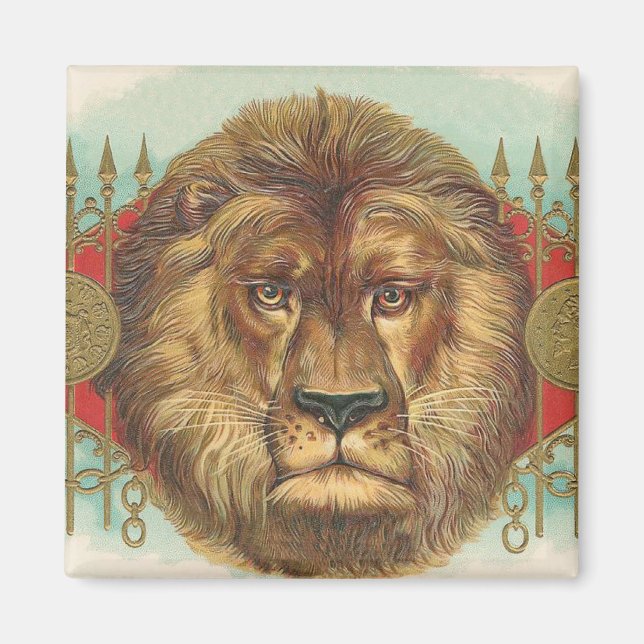 Imán León (Frente)