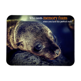 Imán León del mar del Bebé