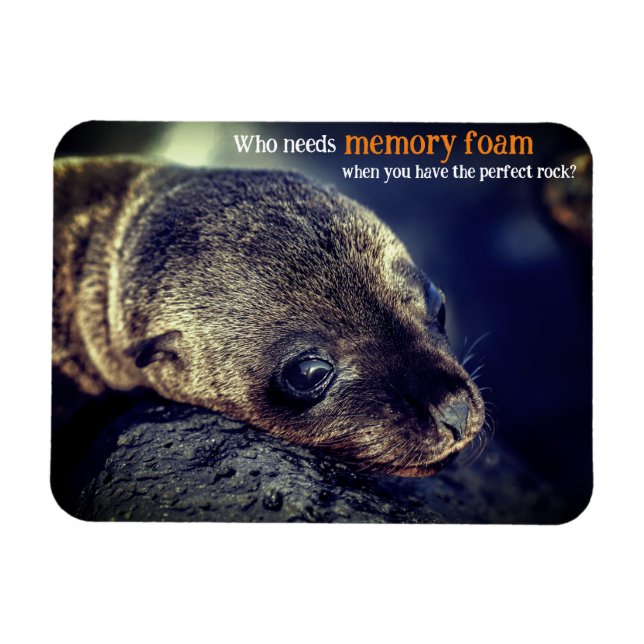 Imán León del mar del Bebé (Horizontal)