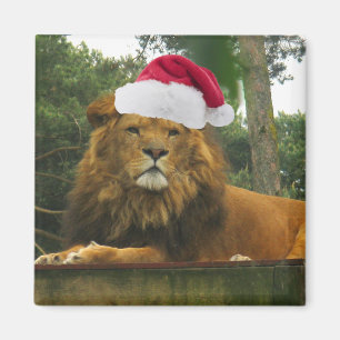 Imán León del navidad que lleva el gorra de Santa