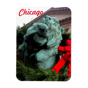 Imán León del Sur en el Instituto de Arte de Chicago