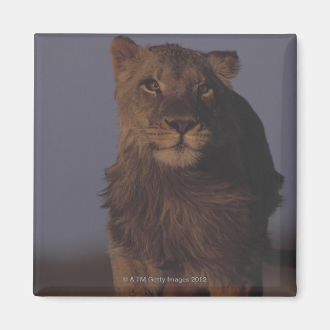 Imán León en ejecución (Frente)