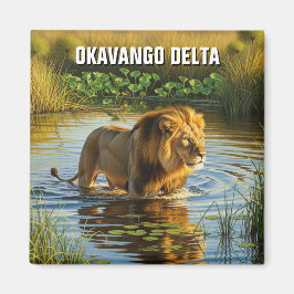 Imán León en el Delta del Okavango Botsuana