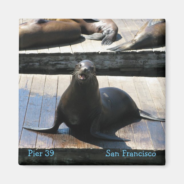 Imán León marino en el muelle 39 en San Francisco (Frente)