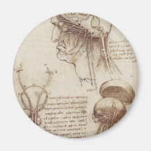 Leonardo da Vinci - Fisiología del cerebro