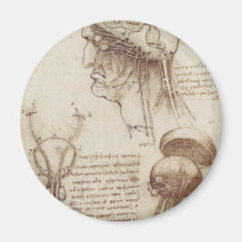 Imán Leonardo da Vinci - Fisiología del cerebro