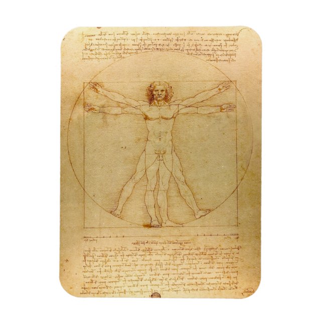 Imán Leonardo Da Vinci, Vitruviano, Golden Ratio (Vertical)