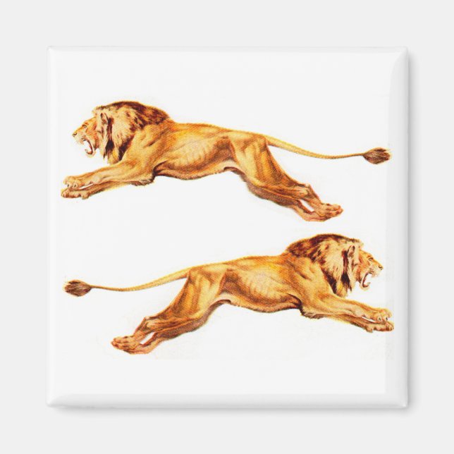 Imán leones con fines cruzados (Frente)