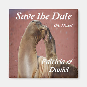 Imán Leones marinos