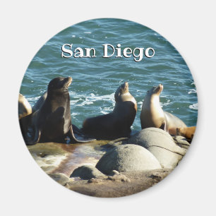 Imán Leones marinos de San Diego