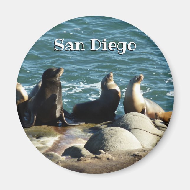 Imán Leones marinos de San Diego (Frente)