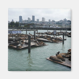Imán Leones marinos de San Francisco y Pier 39 Panorama