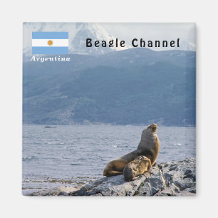 Imán Leones marinos en el canal de Beagle - Argentina