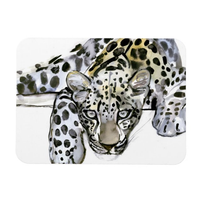 Imán Leopard árabe 2008 6 (Horizontal)