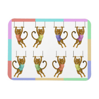 Imán Leopard on a trapeze Flexible Photo Magnet