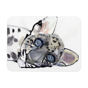 Imán Leopardo árabe 2008 3