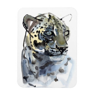 Imán Leopardo árabe 2008 4